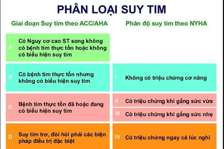 Phân loại suy tim theo các cách khác nhau.webp